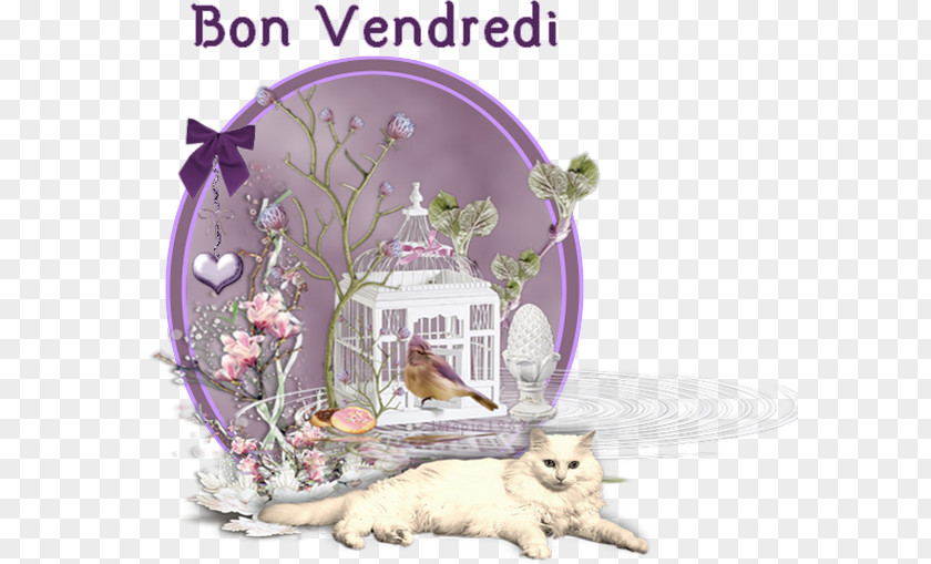 Titou Universe Friday Bonjour Message Time PNG