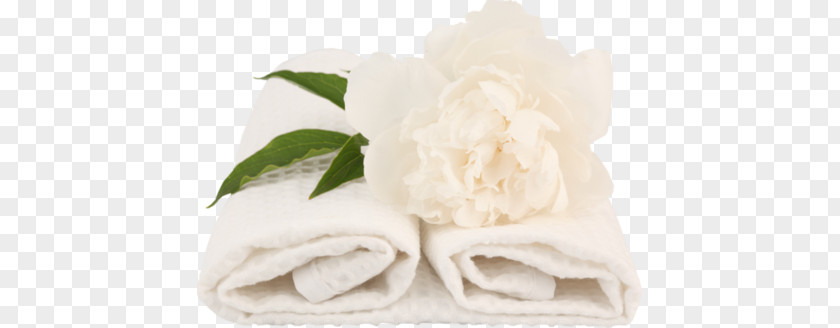 Banya Towel Laundry Washing Hotel PNG