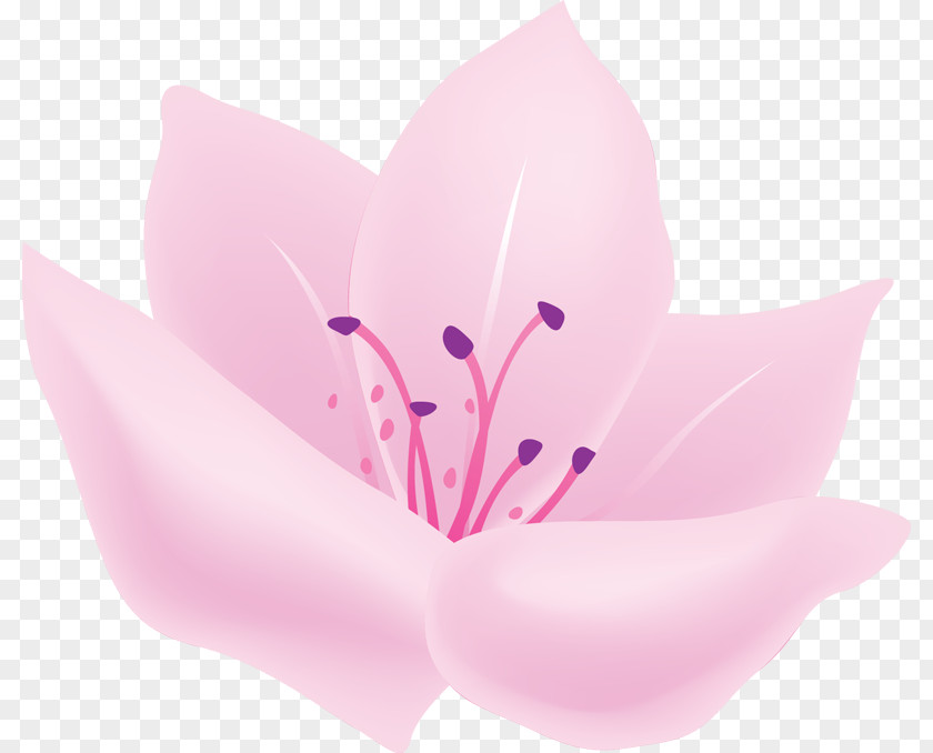 Flower Petal Desktop Wallpaper Painting PNG