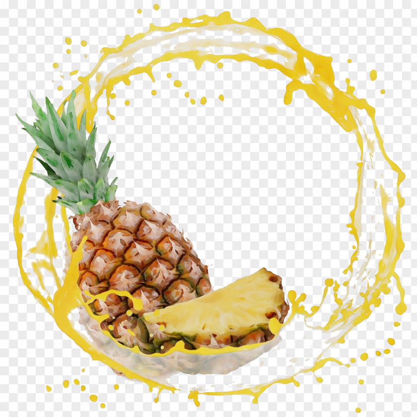 Pine Family Plant Pineapple PNG
