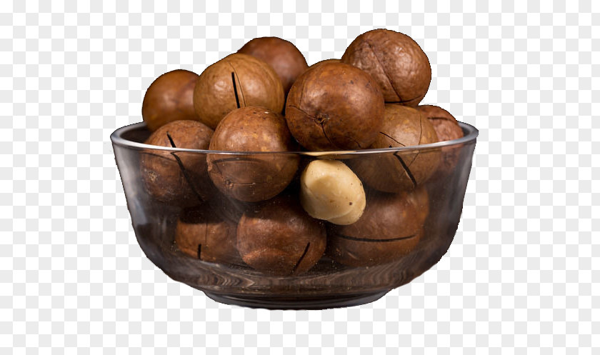 Australian Walnut Macadamia Nut Cuisine Pistachio PNG