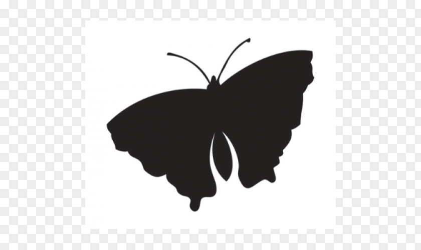Brush-footed Butterflies Clip Art Silhouette Black M M. Butterfly PNG