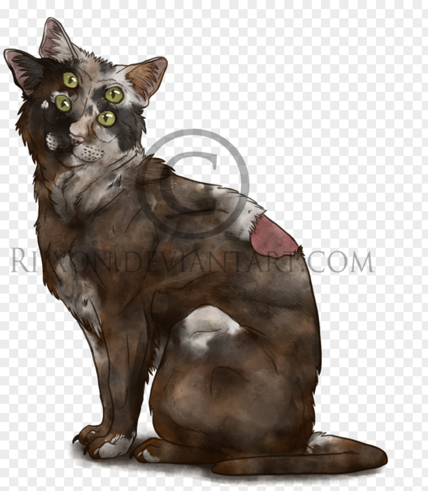 Cat Back Whiskers Kitten Art Drawing PNG