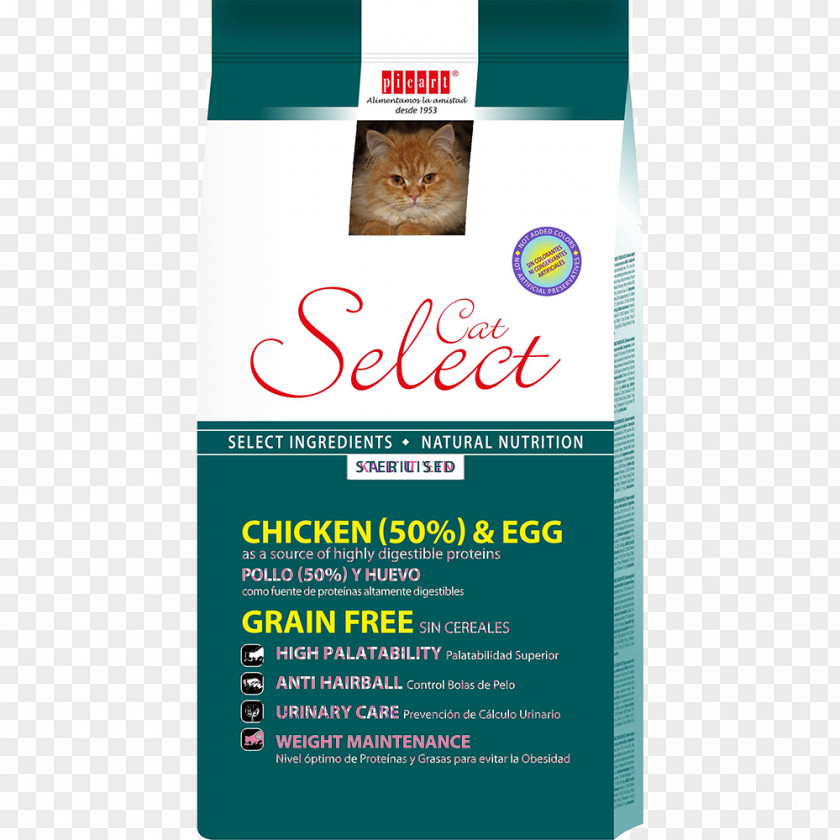 Cat .cat Kitten Aliment Composé Food PNG