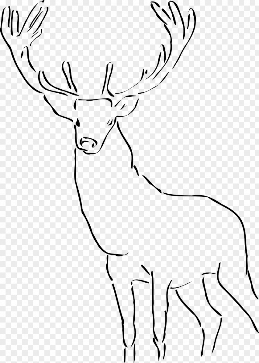 Deer Drawing Clip Art PNG