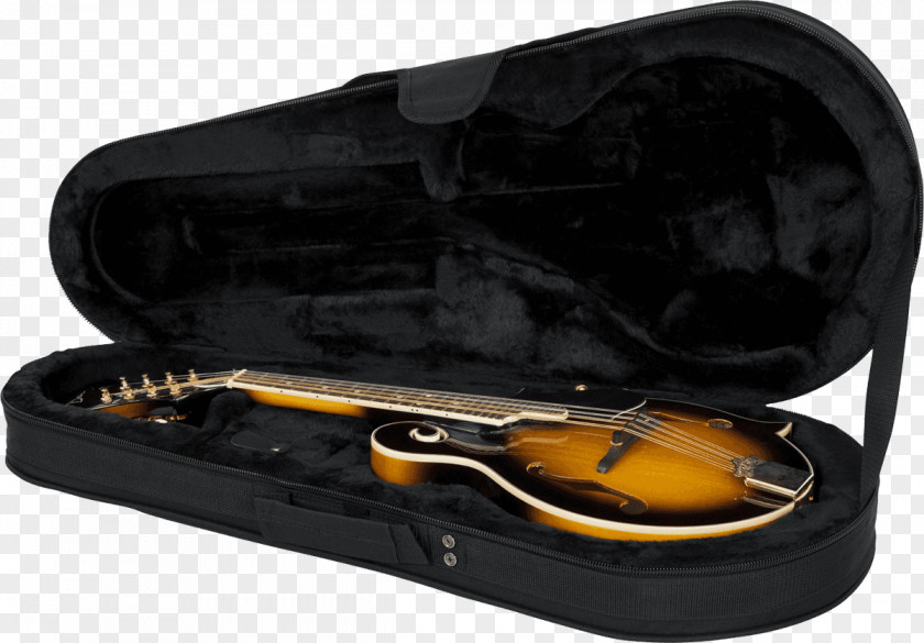 Musical Instruments Mandolin Gig Bag Guitar PNG