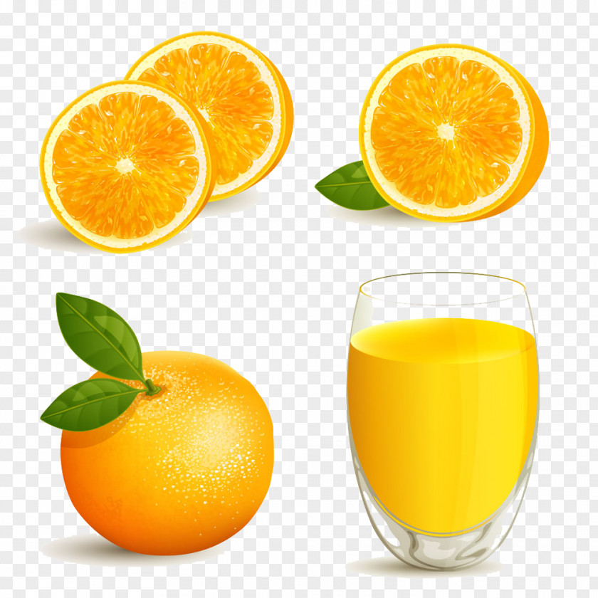 Oranges And Orange Juice Design Material Illustration PNG