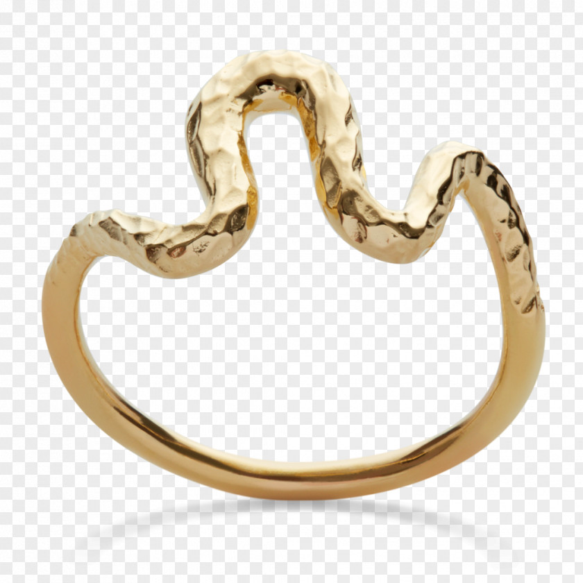 Ring Earring Gold Sterling Silver PNG