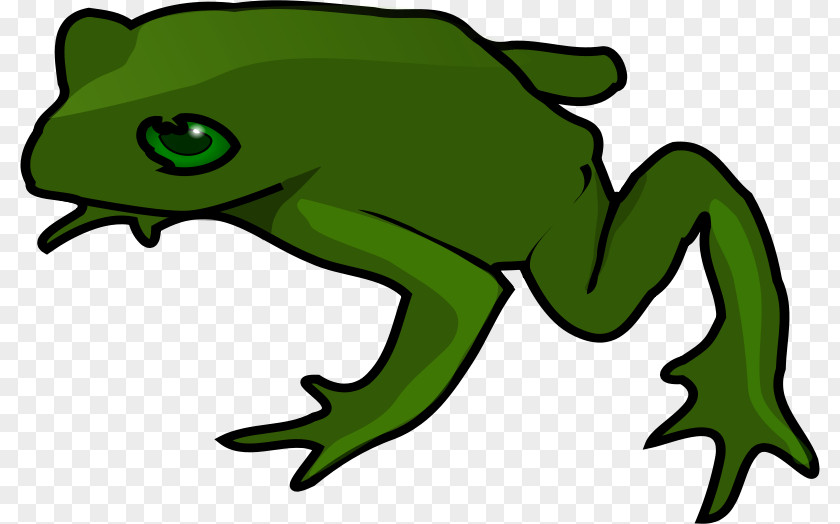 Green Frog Kermit The Free Content Clip Art PNG