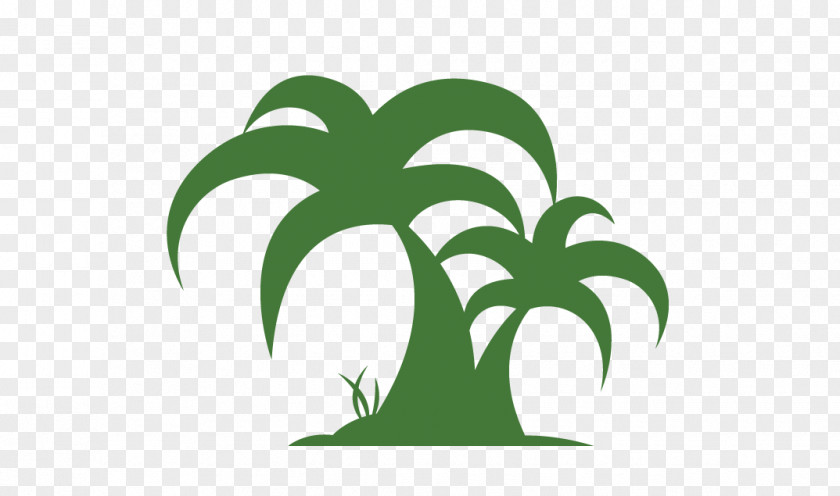 Pictures Of Palms Trees Arecaceae Coconut Tree Clip Art PNG