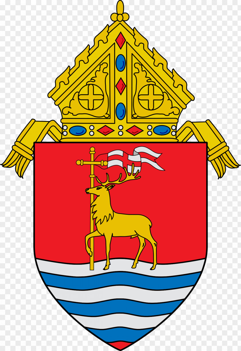 Roman Catholic Archdiocese Of Los Angeles Diocese San Bernardino Denver Monterey In California PNG
