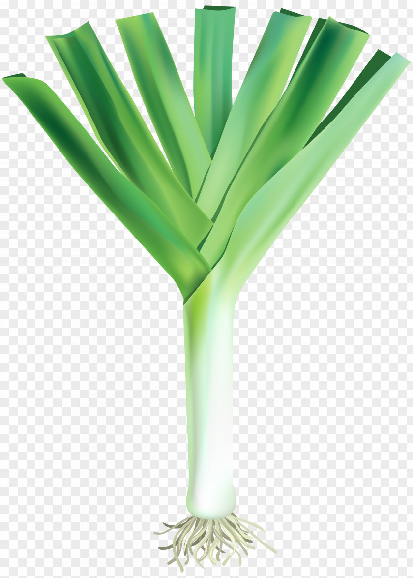 Vegetable Garlic Knot Bread Leek PNG