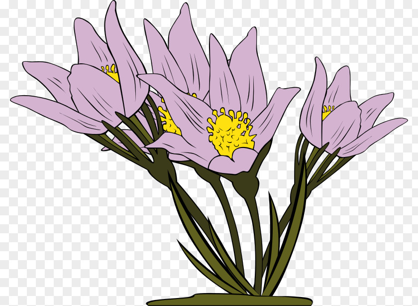 Anemone Flower Cliparts Animation Clip Art PNG