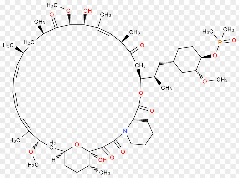 Design Product Drawing Circle PNG