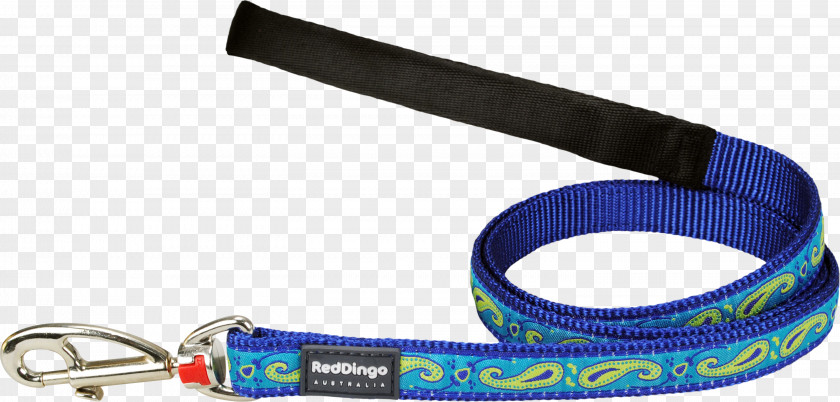 Dog Dingo Leash Cat Pet PNG