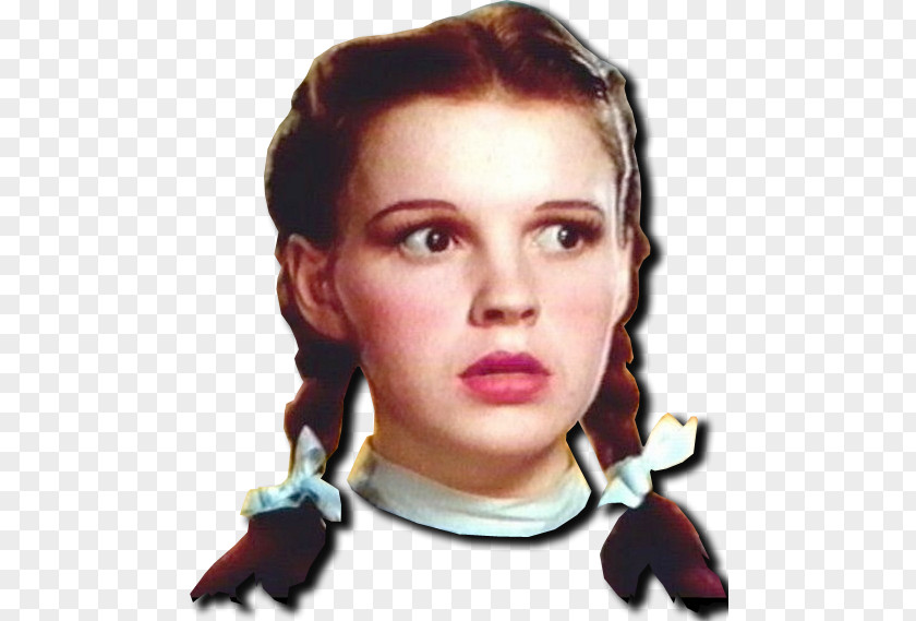 Judy Garland The Wizard Of Oz Dorothy Gale Friend Land PNG