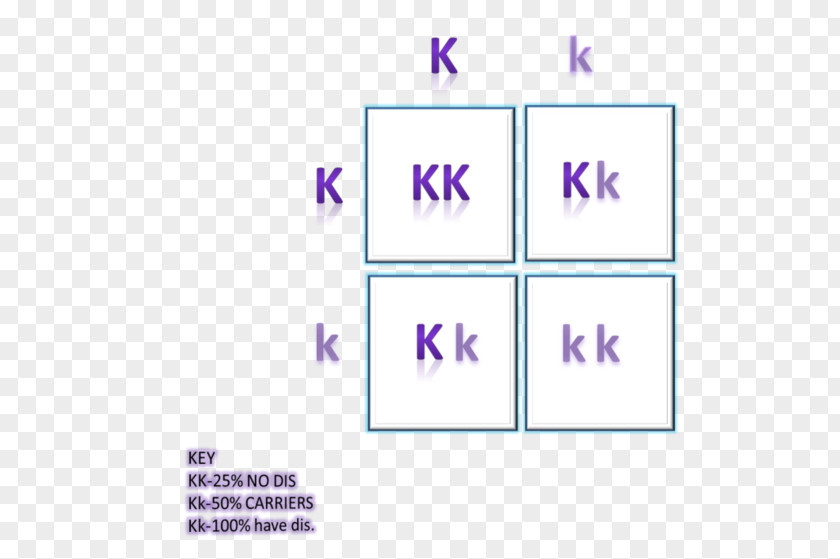 Punnett Square Krabbe Disease Leukodystrophy Genetic Disorder PNG