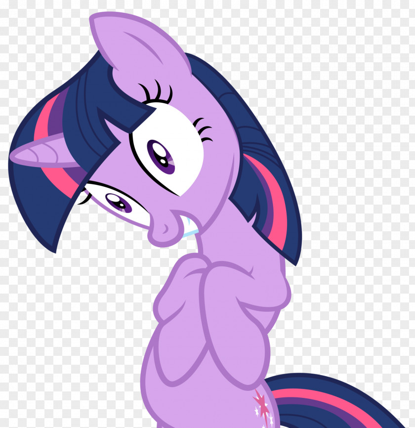 Twilight Sparkle Pinkie Pie Pony Rainbow Dash Rarity PNG