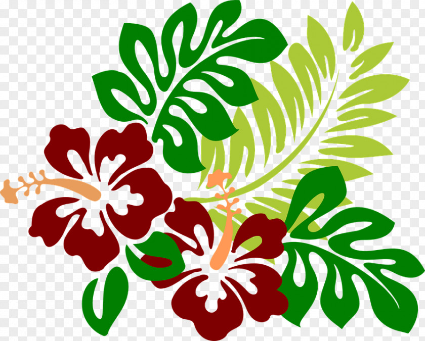 90 Hawaii Hibiscus Clip Art PNG