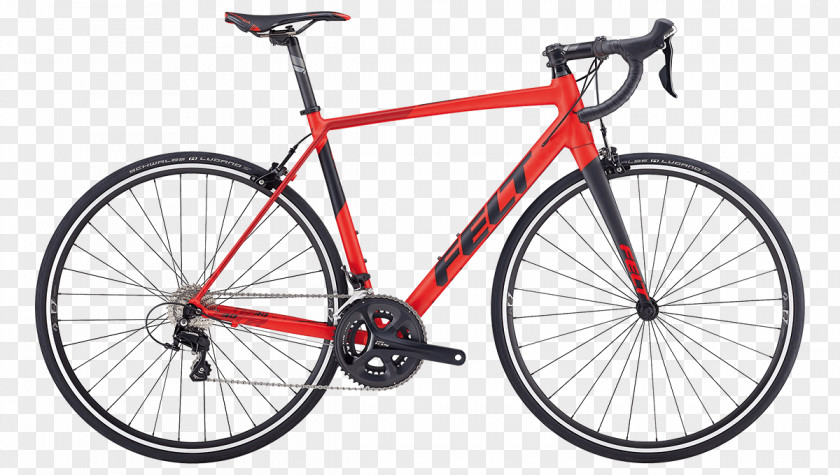 Bicycle Racing Trek Domane AL 2 Cycling Frames PNG