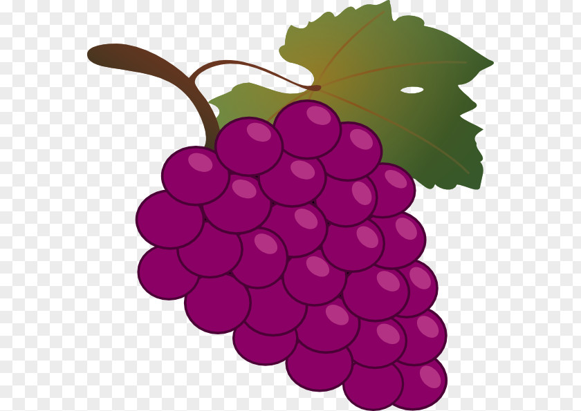 Cartoon Grapes Cliparts Common Grape Vine Wine Free Content Clip Art PNG
