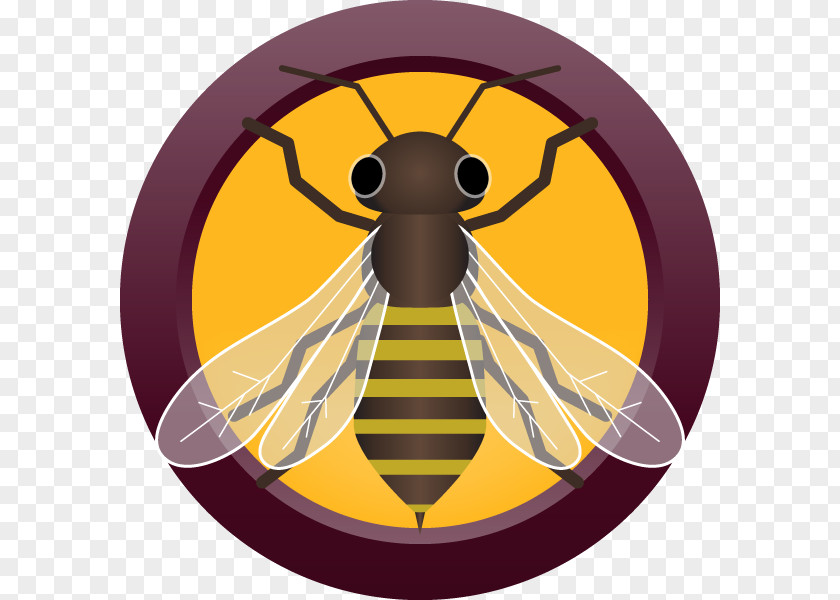 Honey Extractor Bee Mead Beer Brown Ale PNG