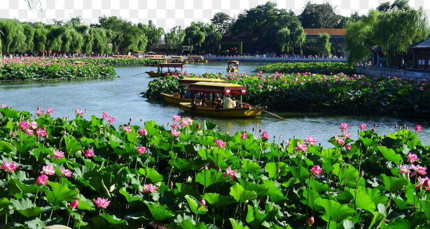 Beihai Park Forbidden City Jingshan Zhongnanhai PNG