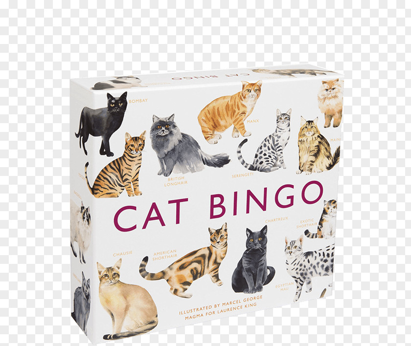 Book Cat Bingo Siamese Tonkinese PNG
