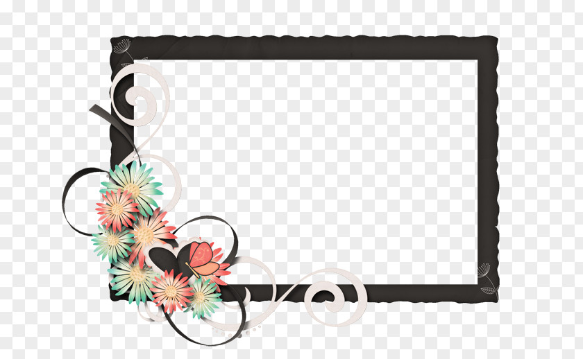 Design Floral Picture Frames Pattern PNG