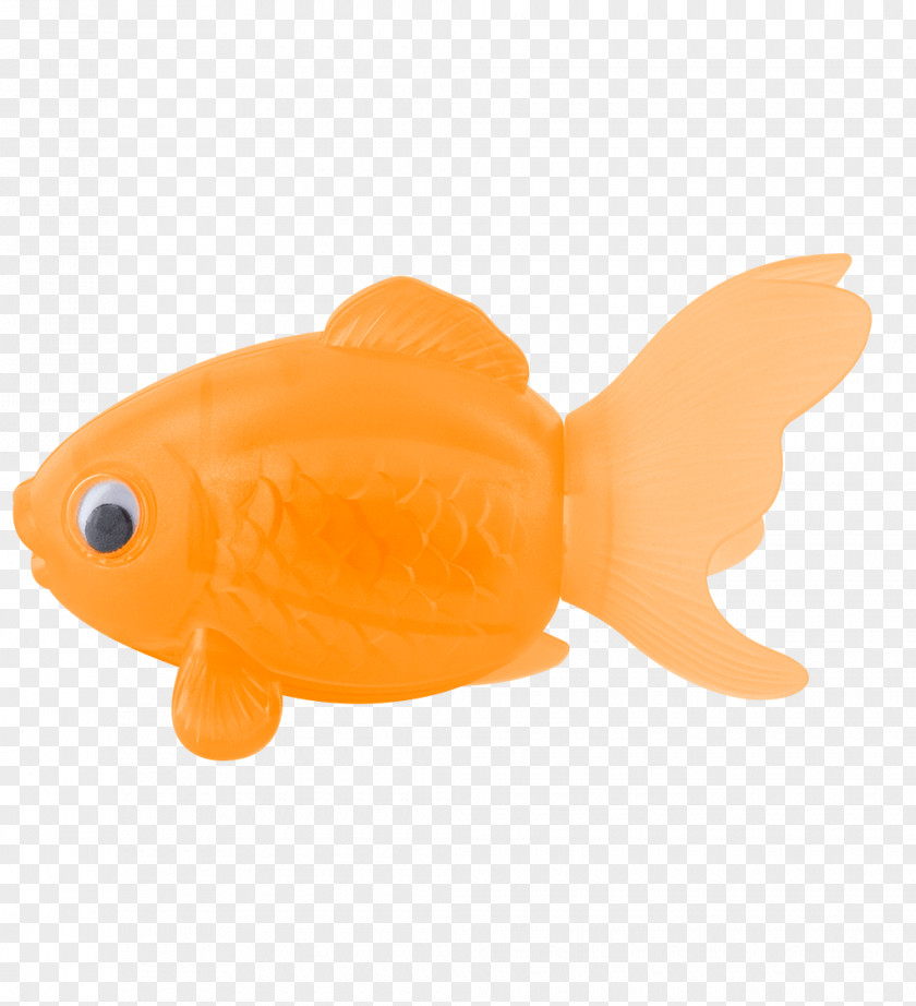 Goldfish Pencil Sharpeners Colored Desk PNG