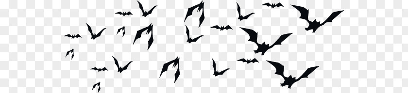 Halloween Bat PNG bat clipart PNG
