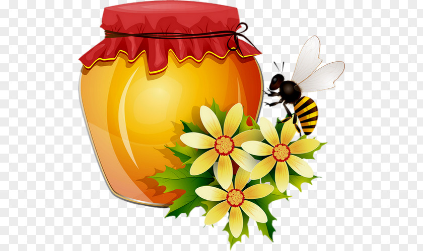 Honey Stick Bee Honeycomb Clip Art PNG