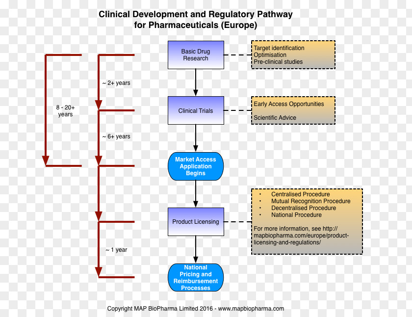Organization Market Advocacy Clinical Trial PNG