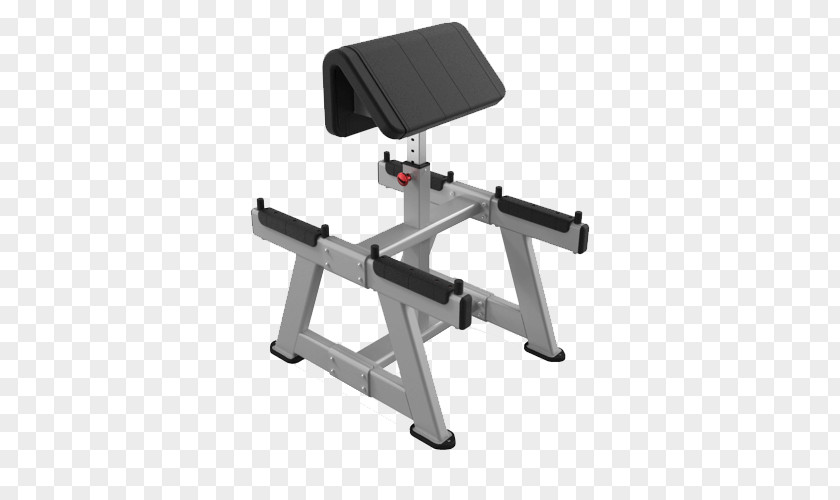 Preacher Curls Bench Biceps Curl Exercise Physical Fitness Strength Training PNG