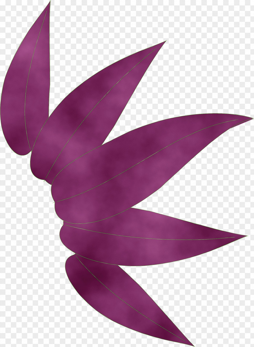 Purple Violet Plant Magenta Logo PNG