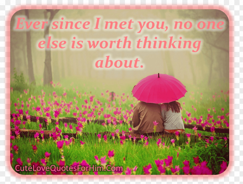 Quotes For Lovers Desktop Wallpaper Image Photograph Love Romance PNG