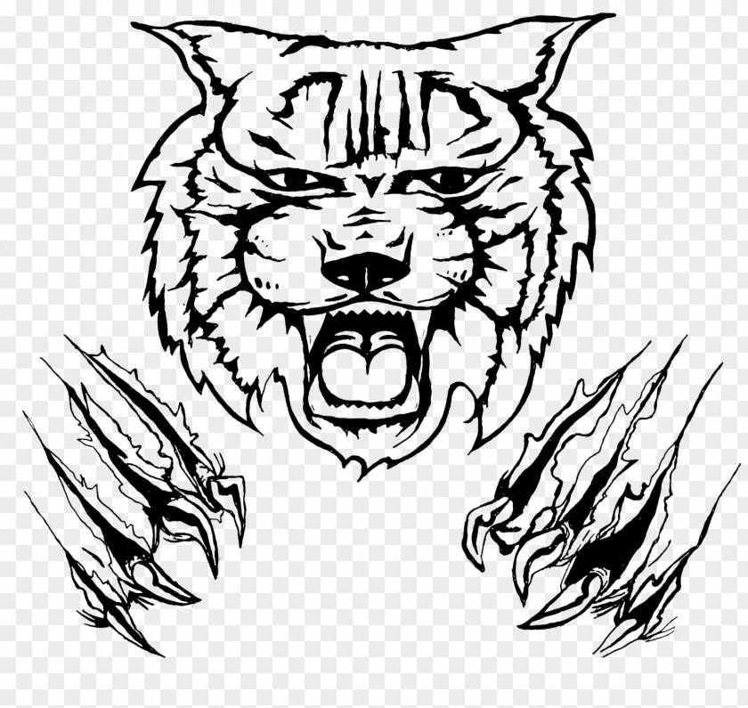 T-shirt Wildcat Drawing Clip Art PNG