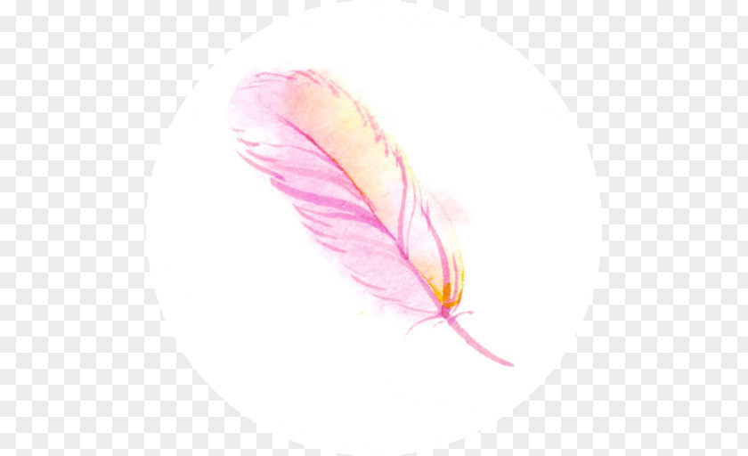 Feather Pink M Close-up PNG