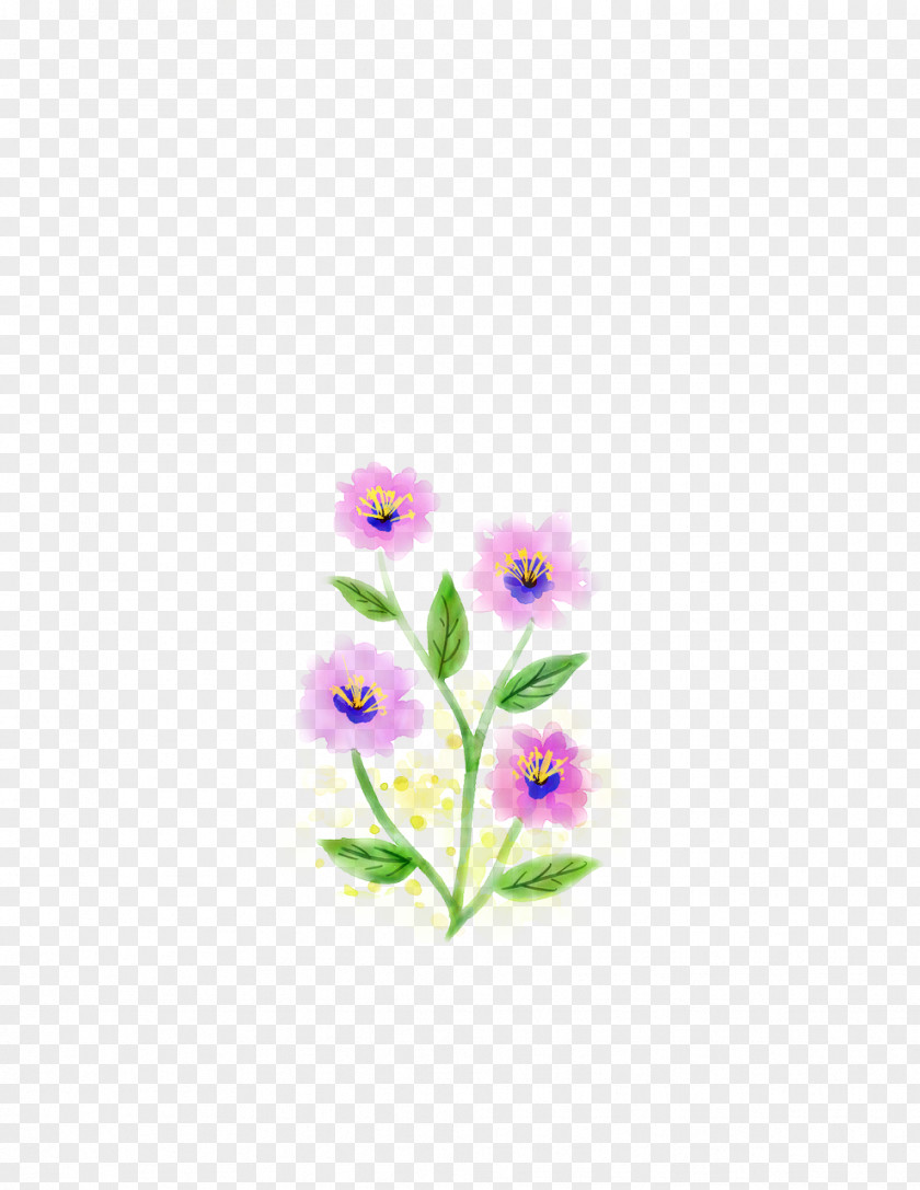 Pedicel Petal Flower Stem PNG