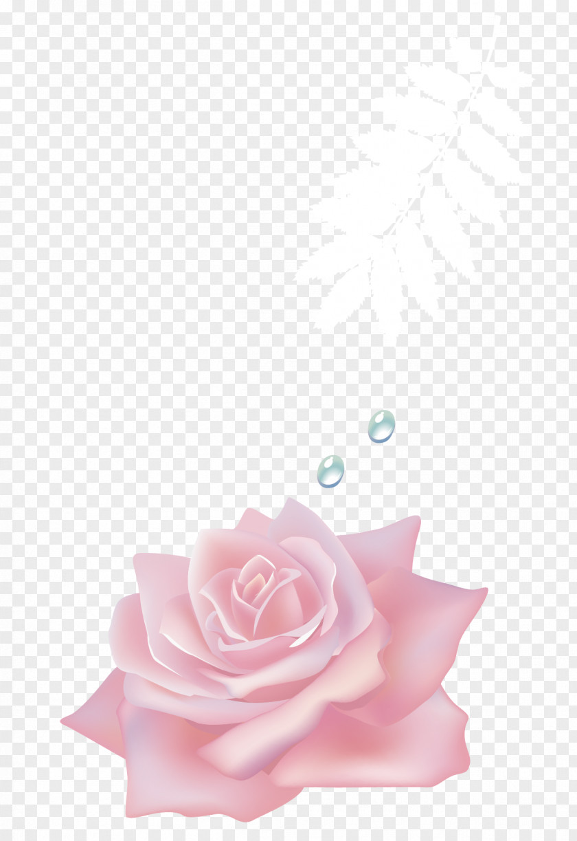 Pink Roses Flower Drop PNG