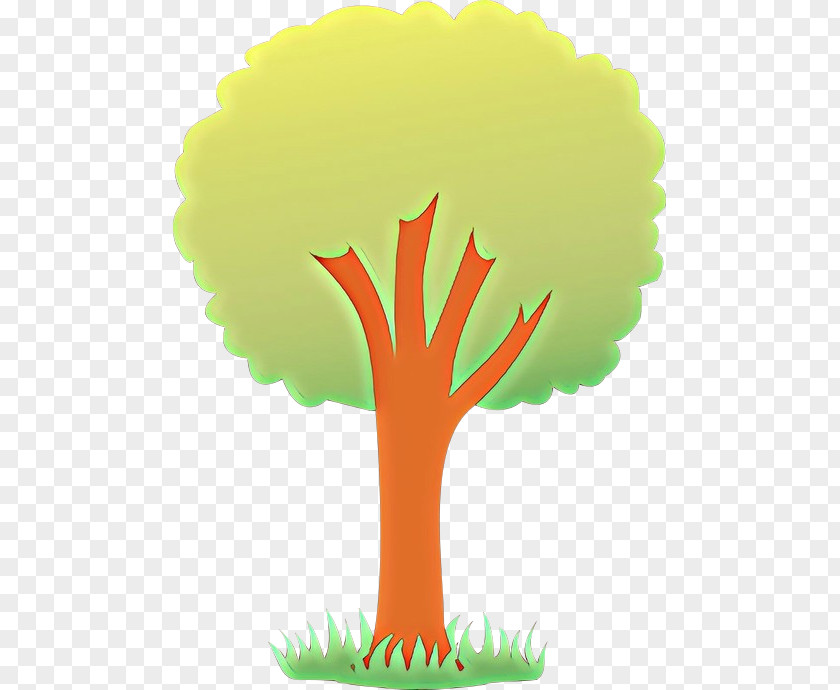 Tree Green Woody Plant Grass PNG