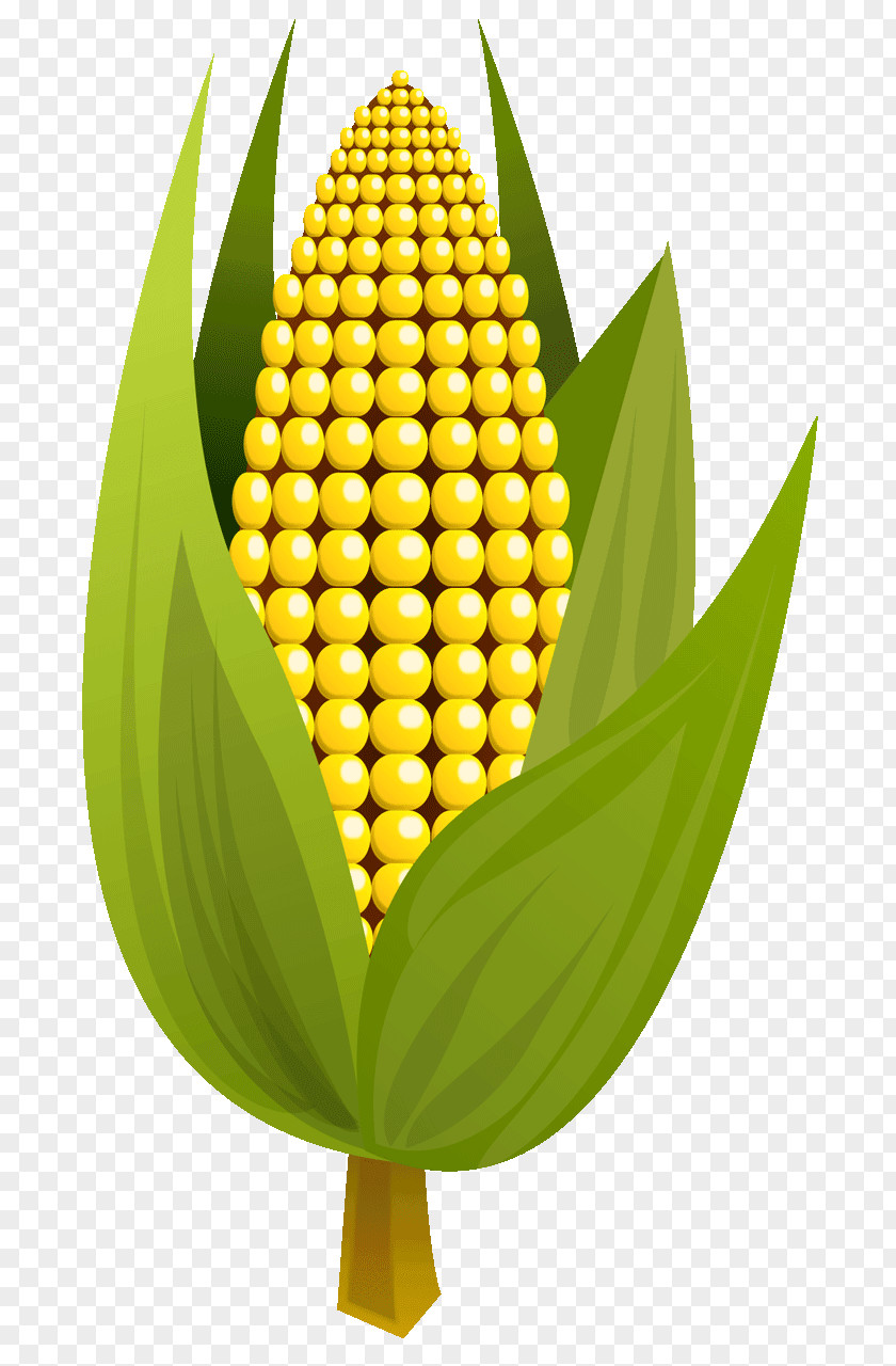 Corn On The Cob Maize Corncob Clip Art PNG