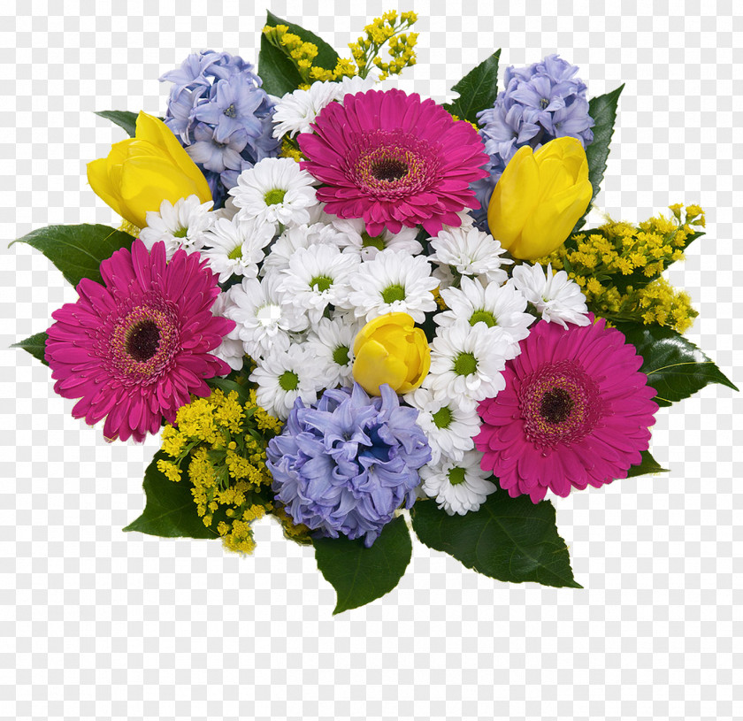 Flower Floral Design Cut Flowers Transvaal Daisy Chrysanthemum PNG