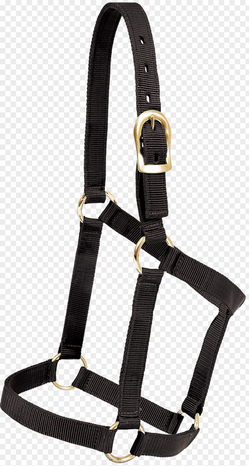 Horse Welsh Pony And Cob Halter Nylon Lead PNG