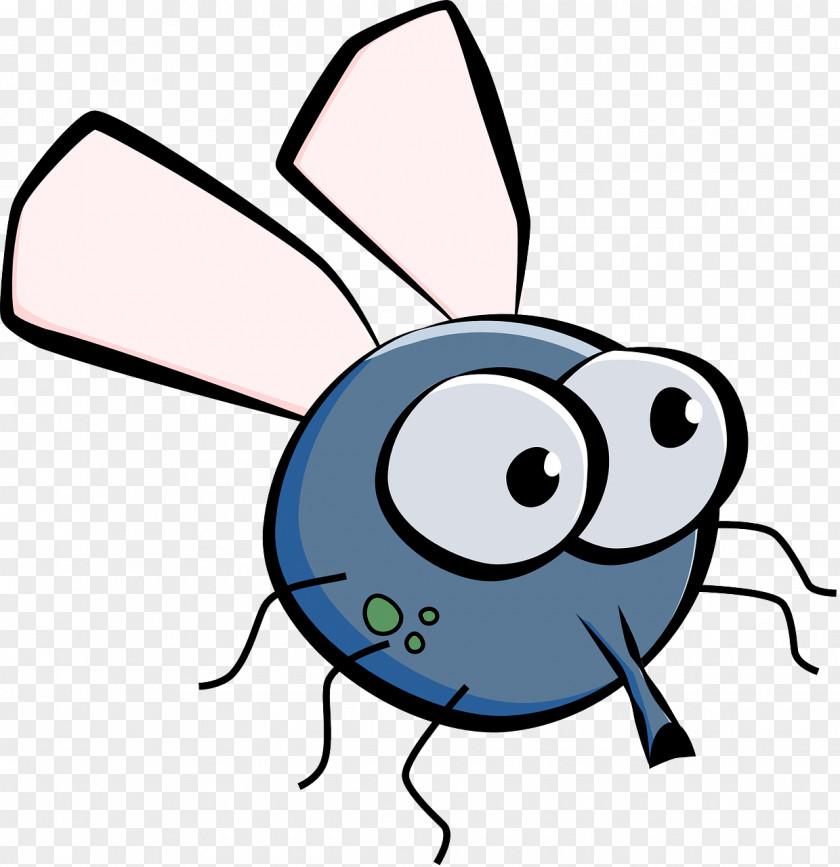 Pest Fly Clip Art PNG