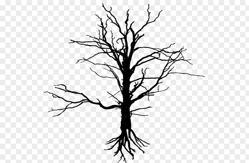 Tree Drawing Silhouette Leaf PNG