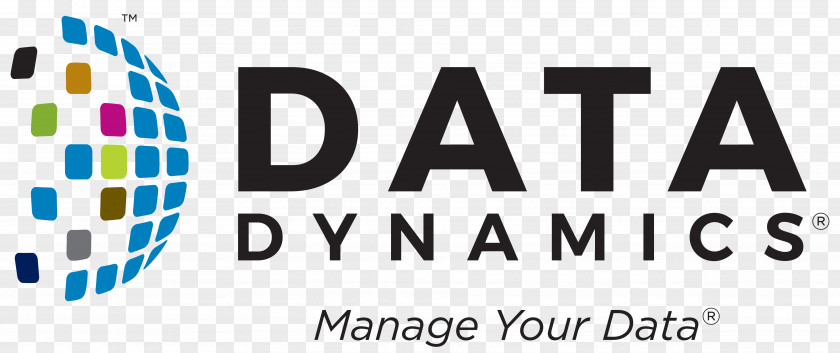 Data Dynamics, Inc. Management Business Computer Software PNG