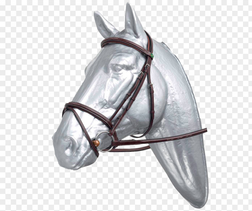 Horse Tack Bridle Noseband Rein PNG