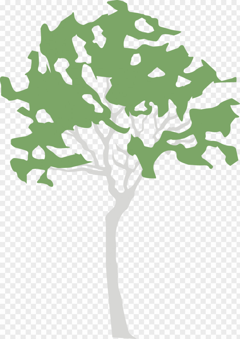 Leaf Clip Art Illustration Green Plant Stem PNG