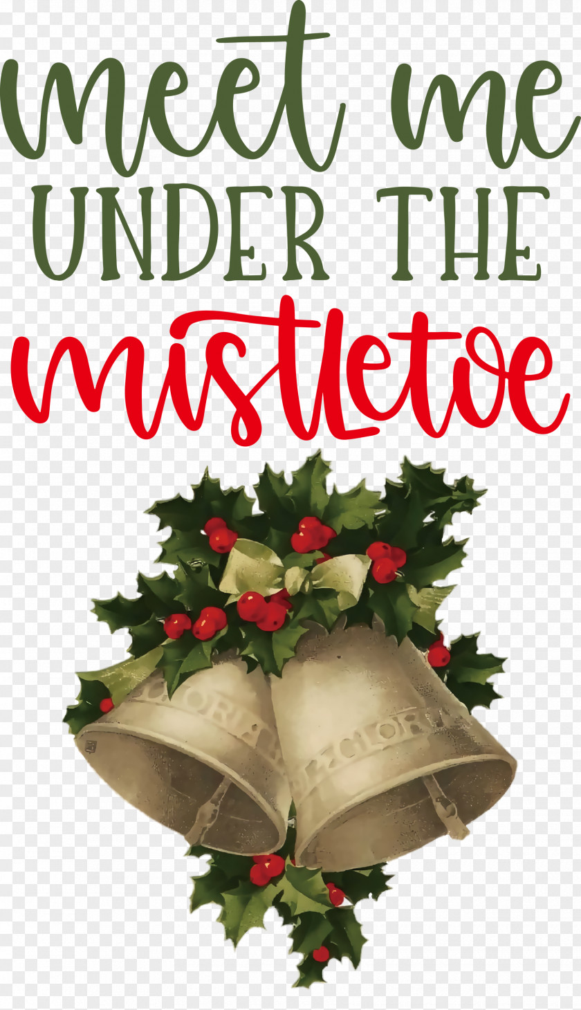 Meet Me Under The Mistletoe PNG